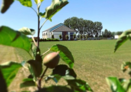 Eigen appelteelt en Fruitpoort